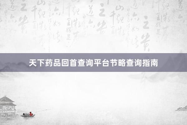 天下药品回首查询平台节略查询指南