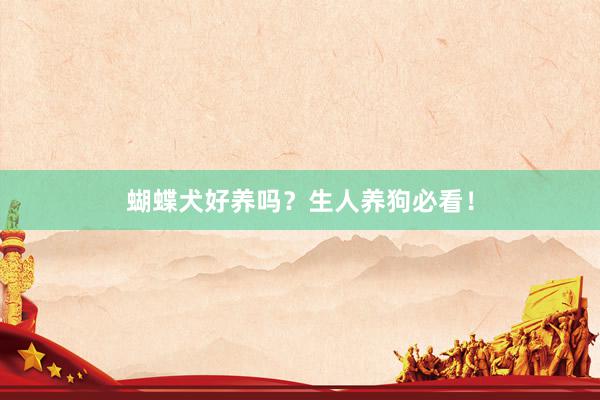 蝴蝶犬好养吗？生人养狗必看！
