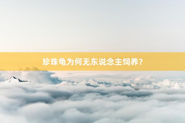 珍珠龟为何无东说念主饲养？