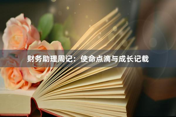 财务助理周记：使命点滴与成长记载